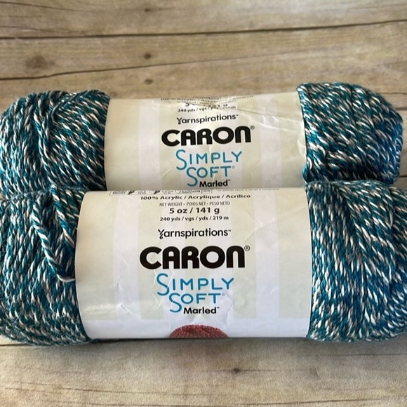 2 NEW Skeins Caron Simply Soft Yarn 5 Oz. Each Color is  Pagoda Marled - Picture 1 of 7